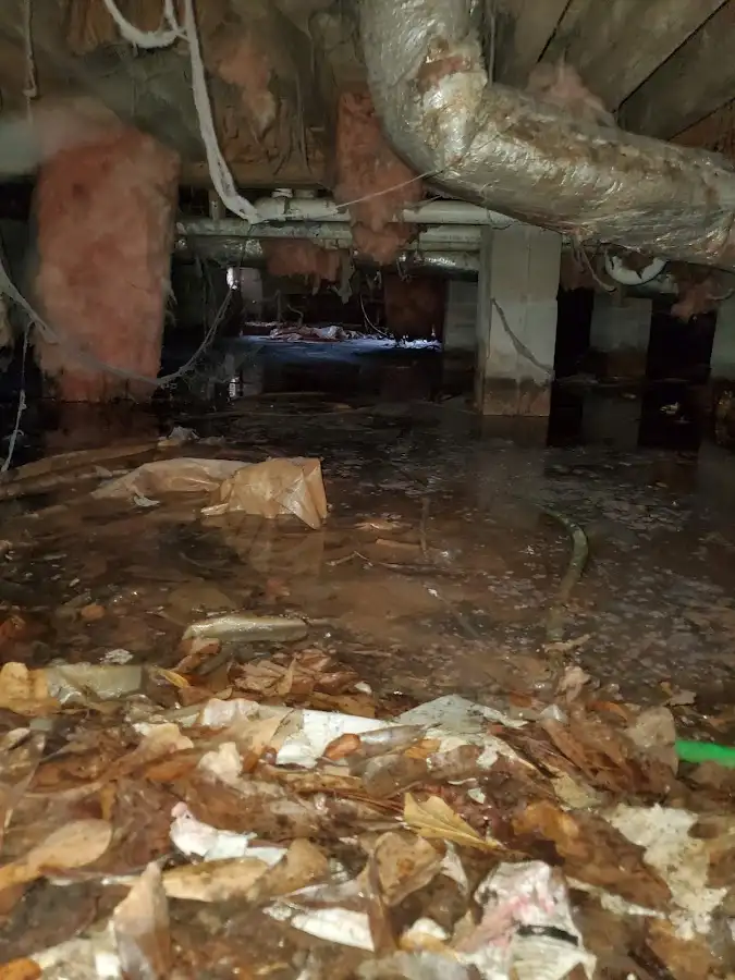 Crawl space flood assessment for Leak Detection & Repair in Darien